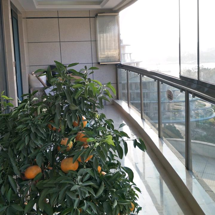 折叠窗厂家