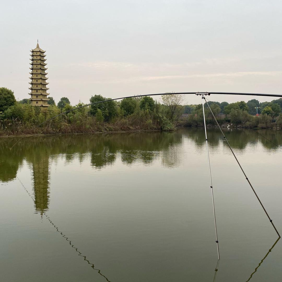 🌈什么鱼都钓🌈