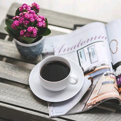 东方金博(紫楠花园店)小马哥