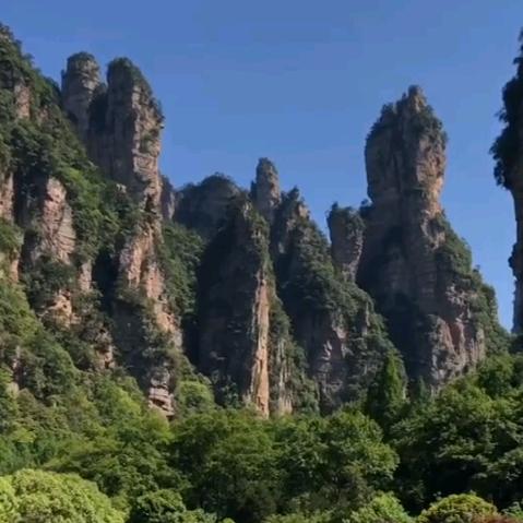 @五阿哥