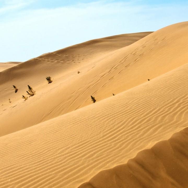 坚持就是胜利，加油加油