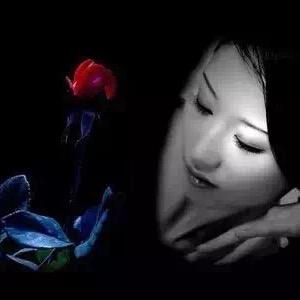 玉兰～花开🌸拒绝私聊