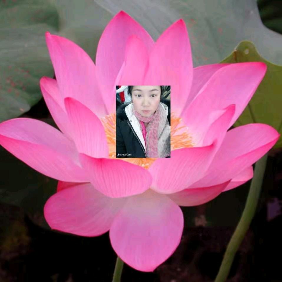 看世界的善变