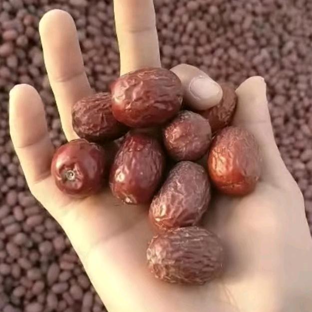 盛源红枣