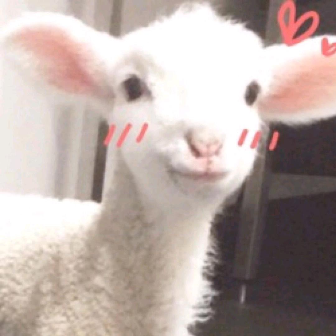 睡醒又炸毛了