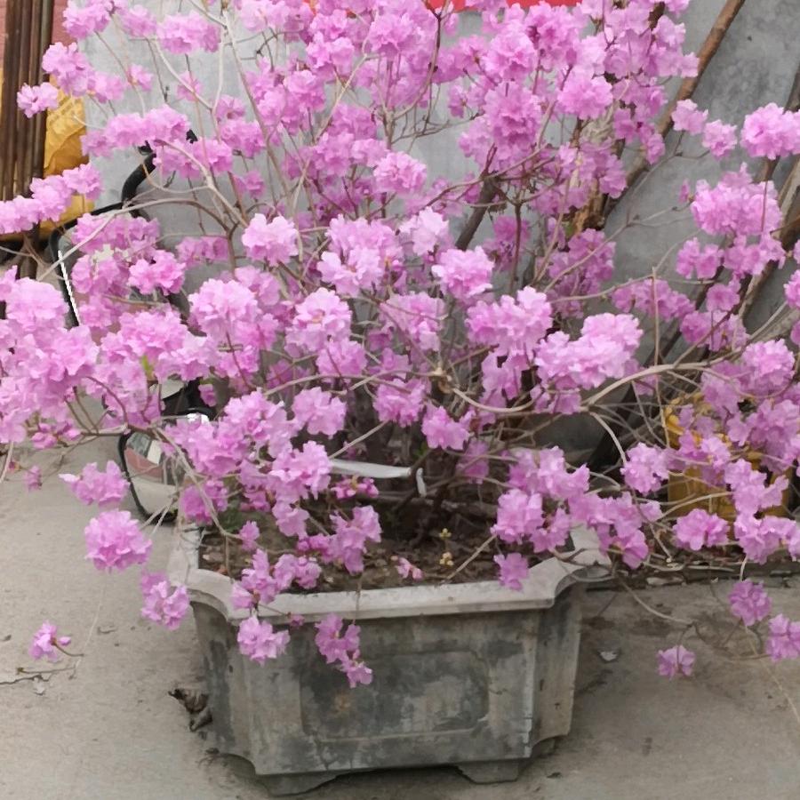 人在旅途  平安是福