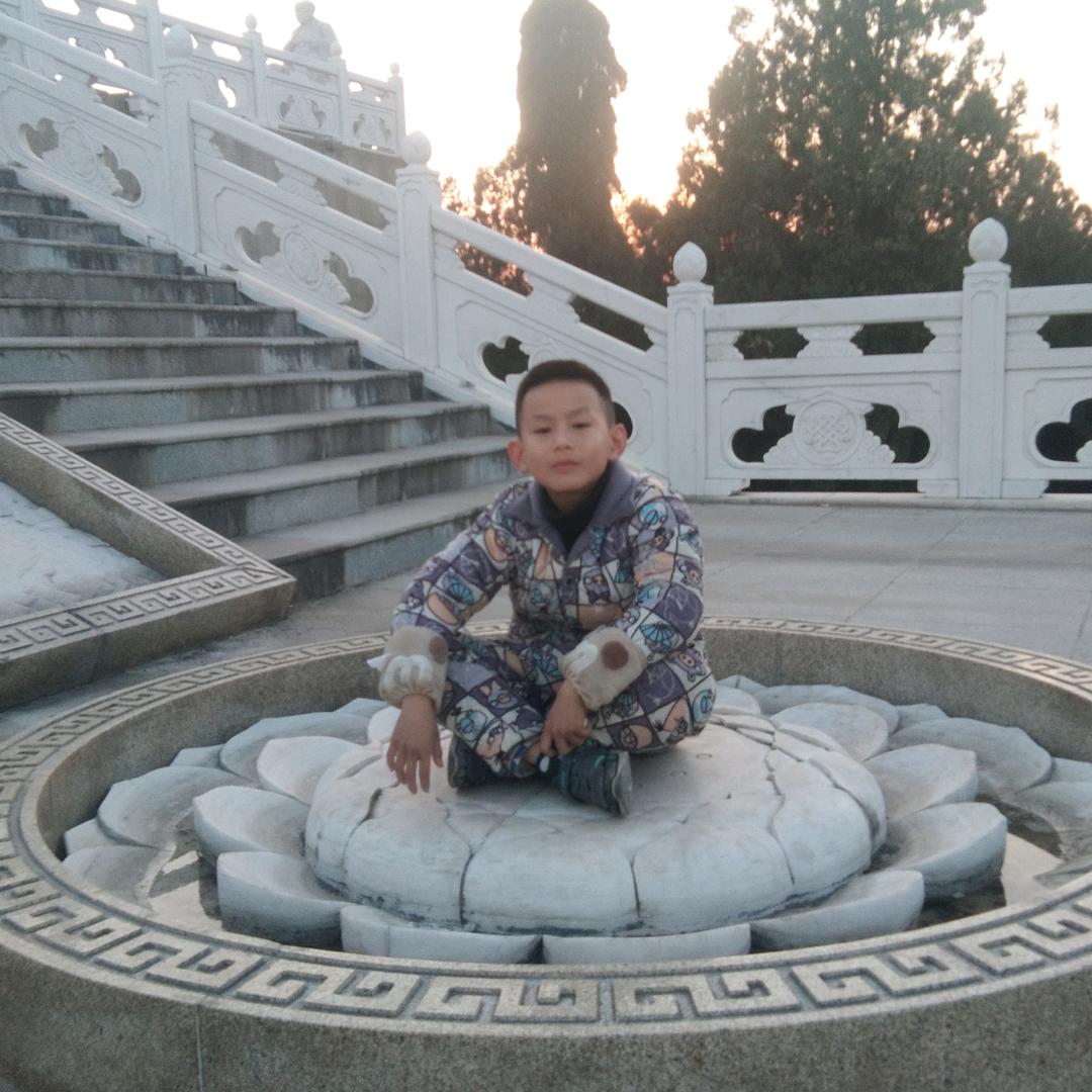 魏氏养殖(皖浦大白鹅)