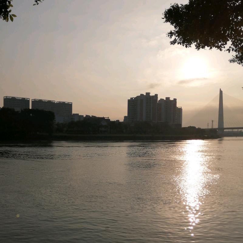 随缘翡翠