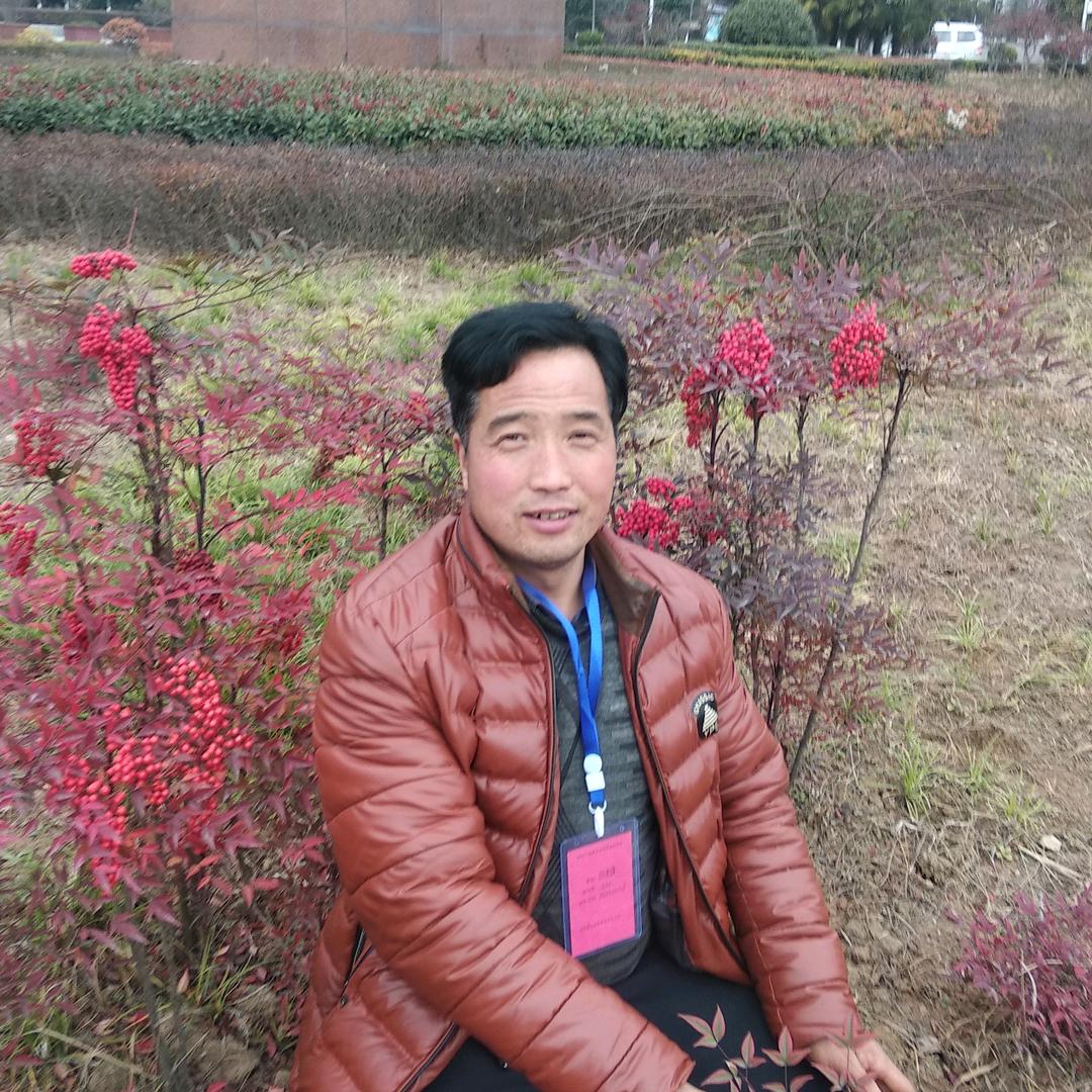 张军锋