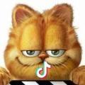 不爱吃鱼的大脸猫🐱