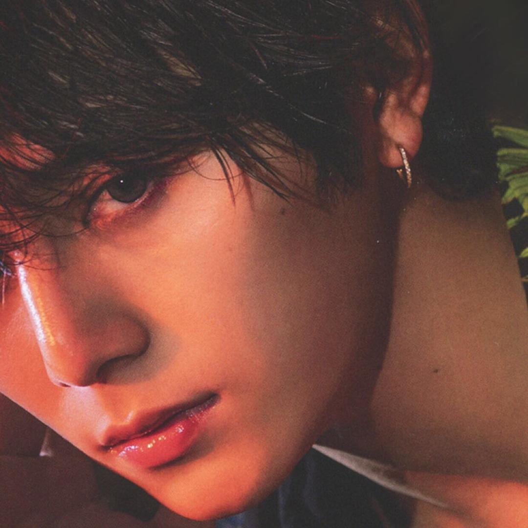 看麦娘的废片✂️