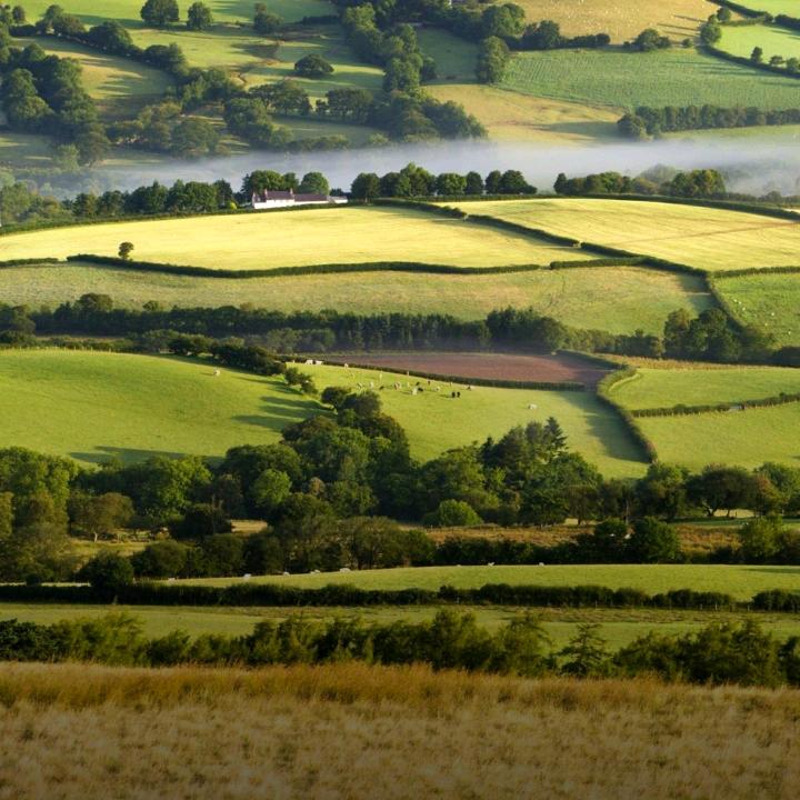 Gypsy（沉迷游戏版）