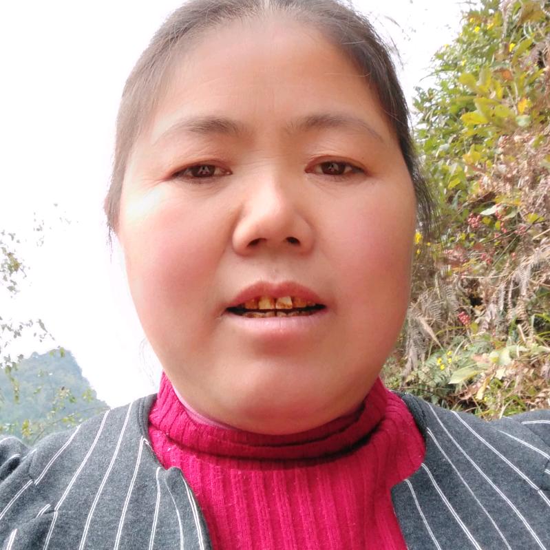 王二姐