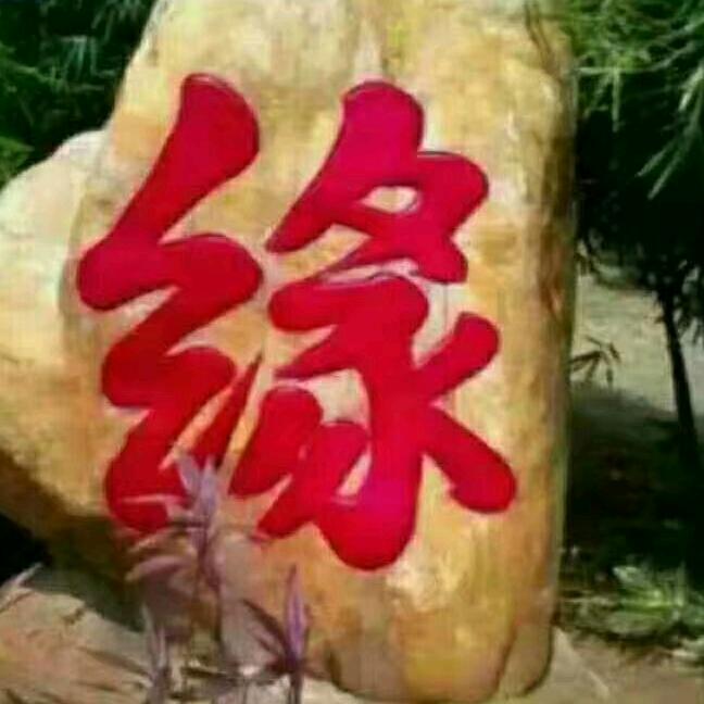 手机用户，大漠雄鹰