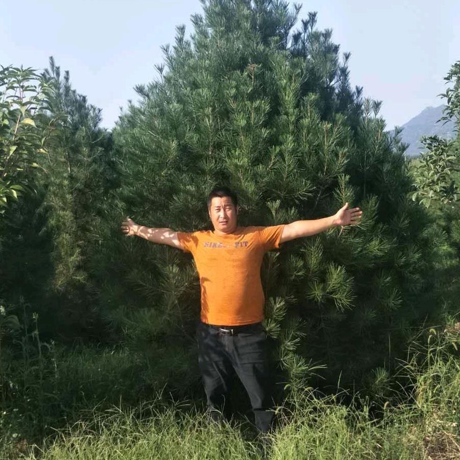 焦作市海朋园林绿化有限公司