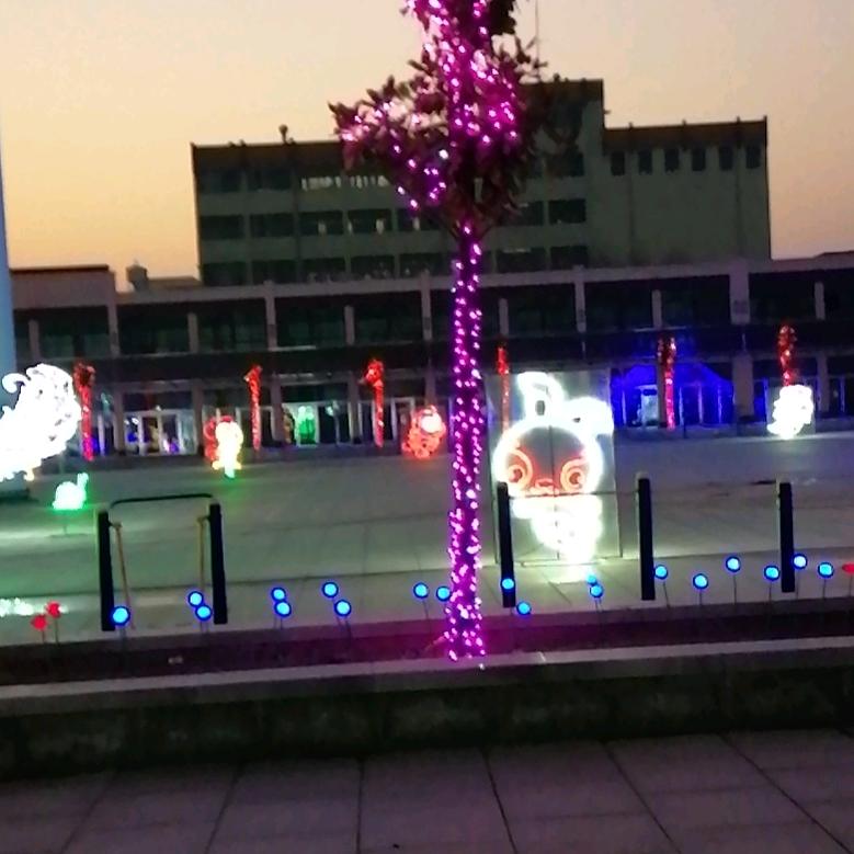 爱如指间沙