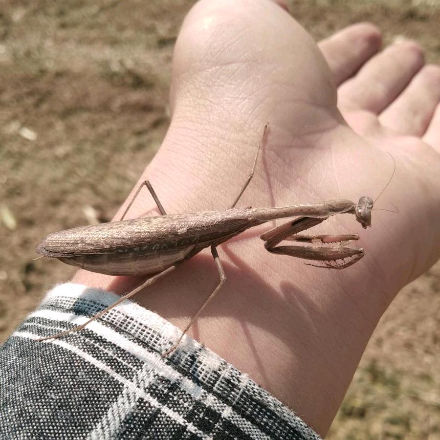 @用户2007496166984