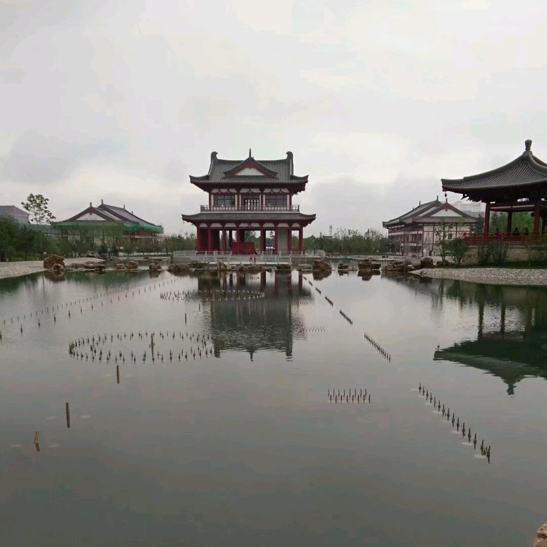 一心向阳🇨🇳