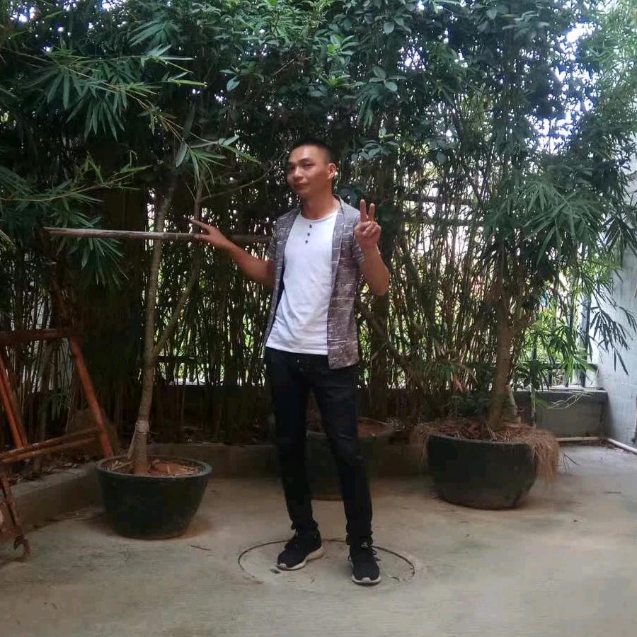 水果搬运工