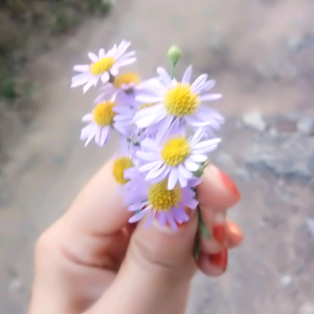 😌😜😝🤗🥳开心果🥰🥴🤑