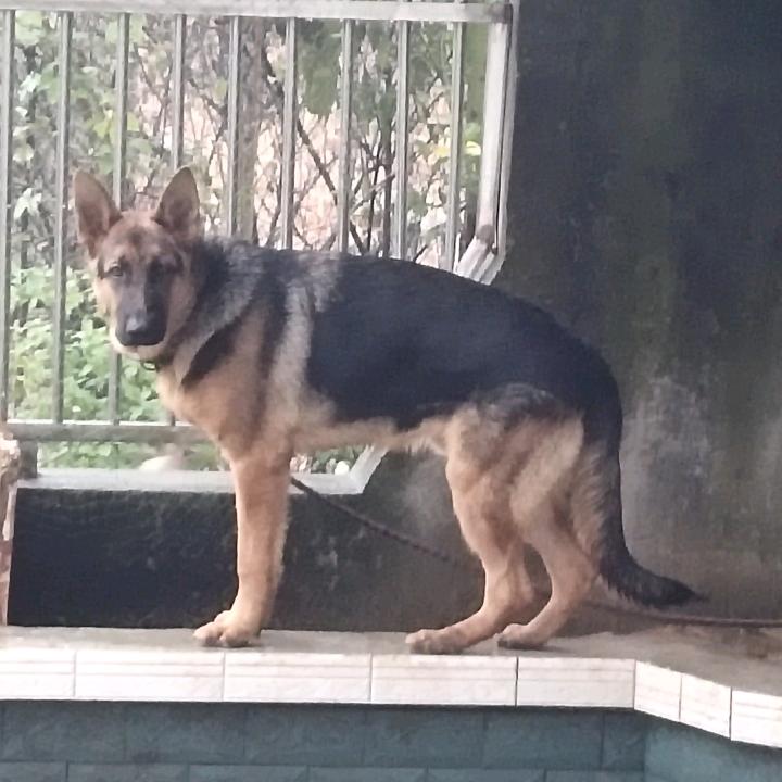 特价瓷砖小蒋