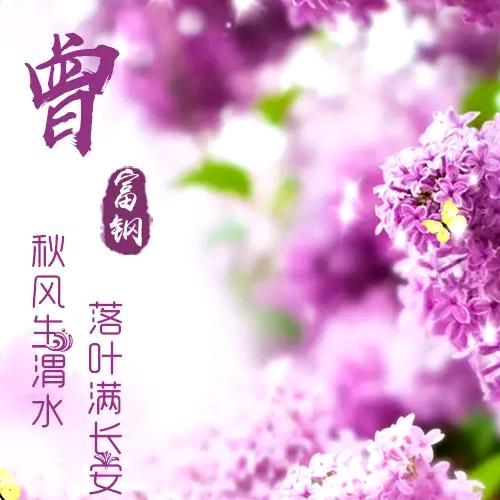 梧桐雨