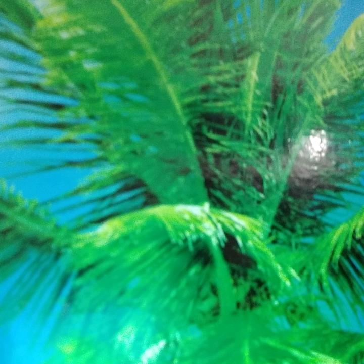 春暖花开