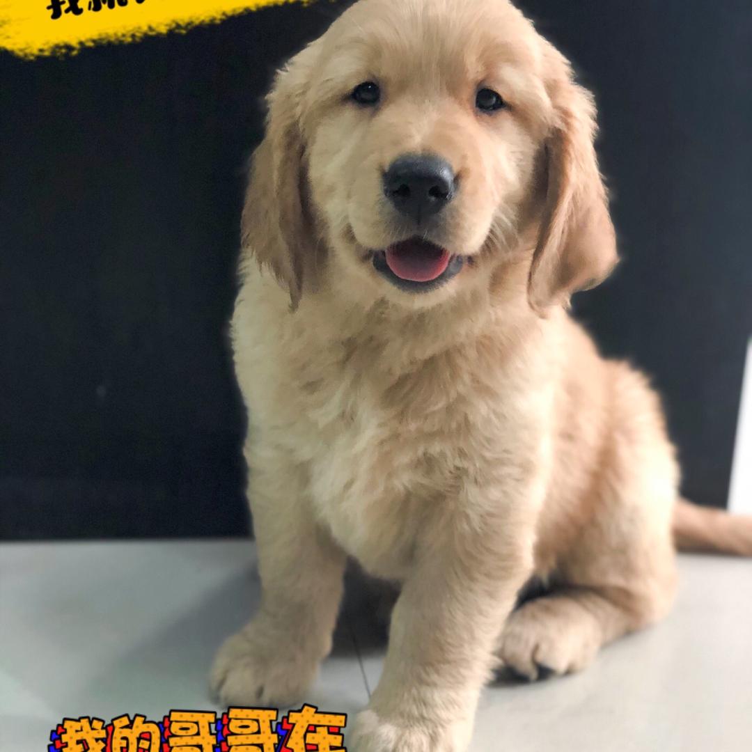 🐀 🐀 🐀 Hz 🐀 🐀 🐀