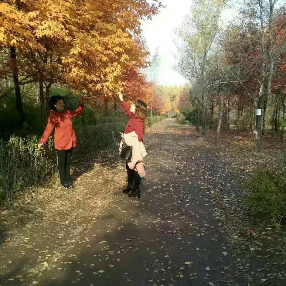 石头✌️✌️