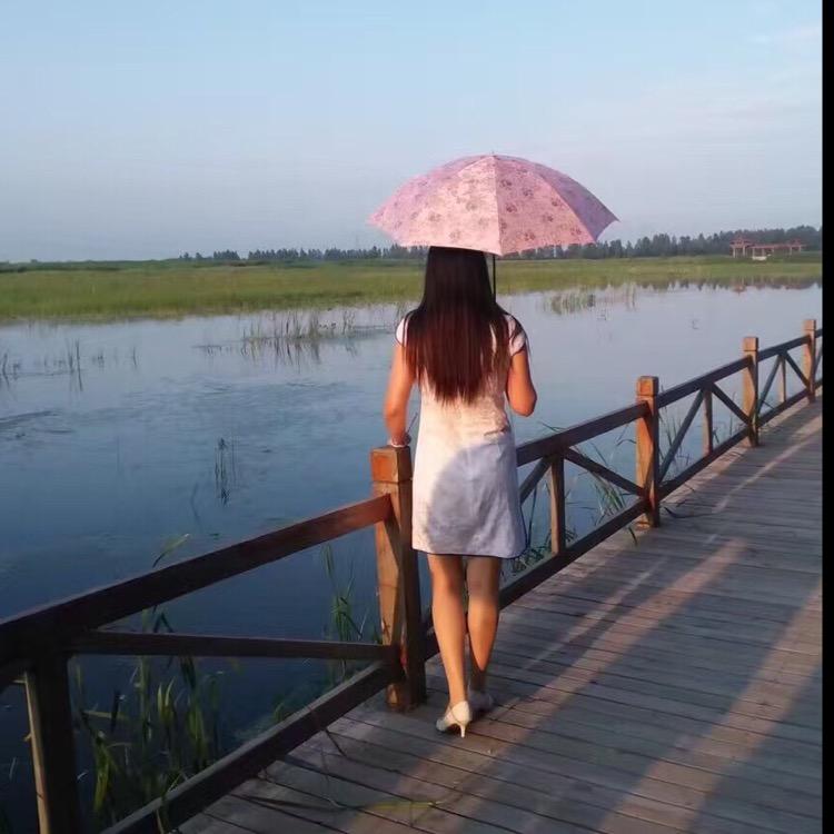 凤凰于蜚