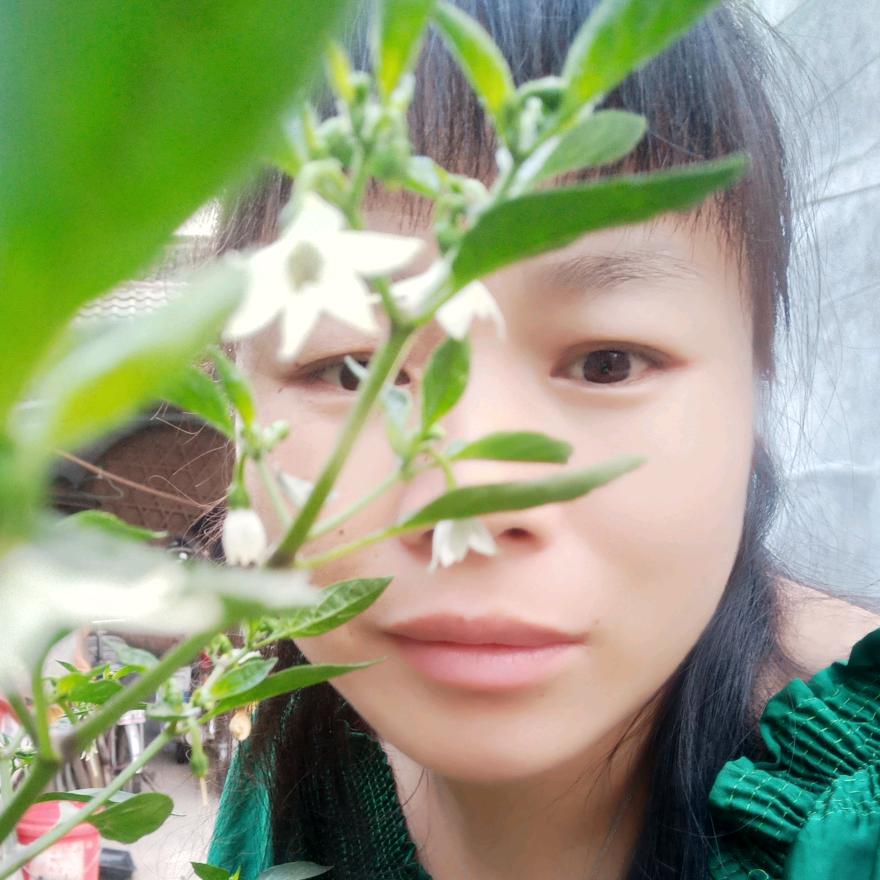 心有依人