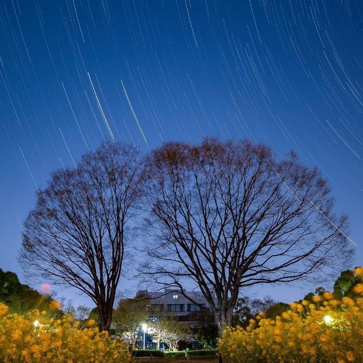 为你浪迹天涯