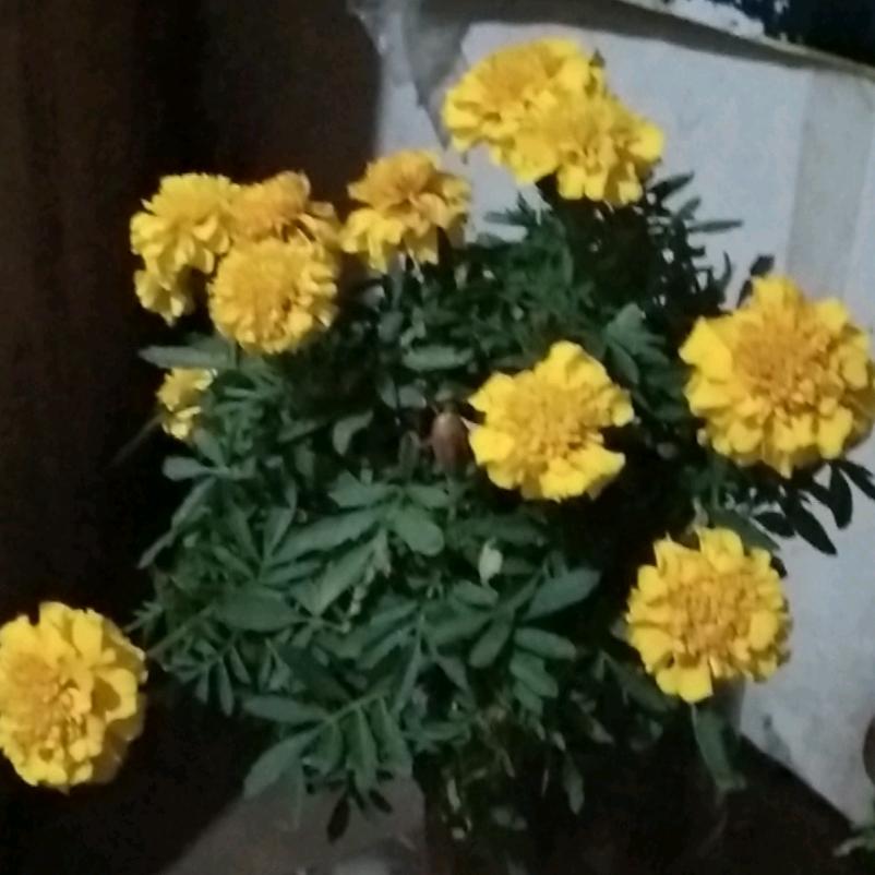 孤身闯天下