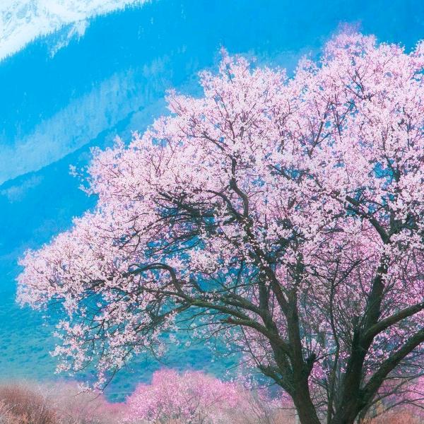 一缕光