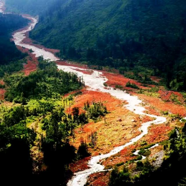 老马摄影（王哲）