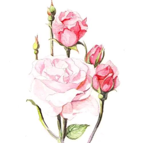 春暖花开@@