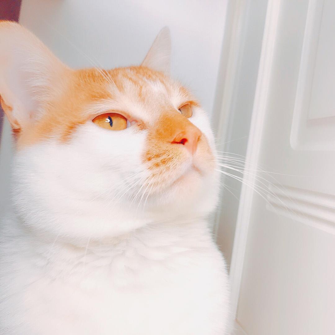 不瘦25斤不改名