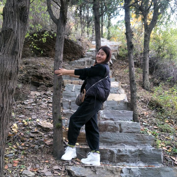 蔷薇