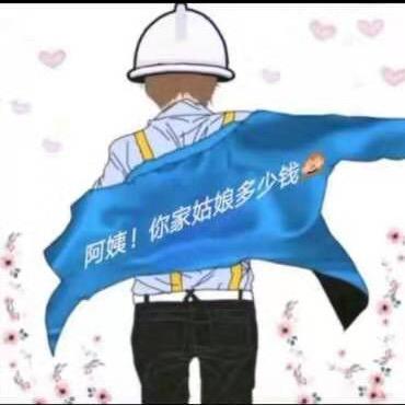 小马过河