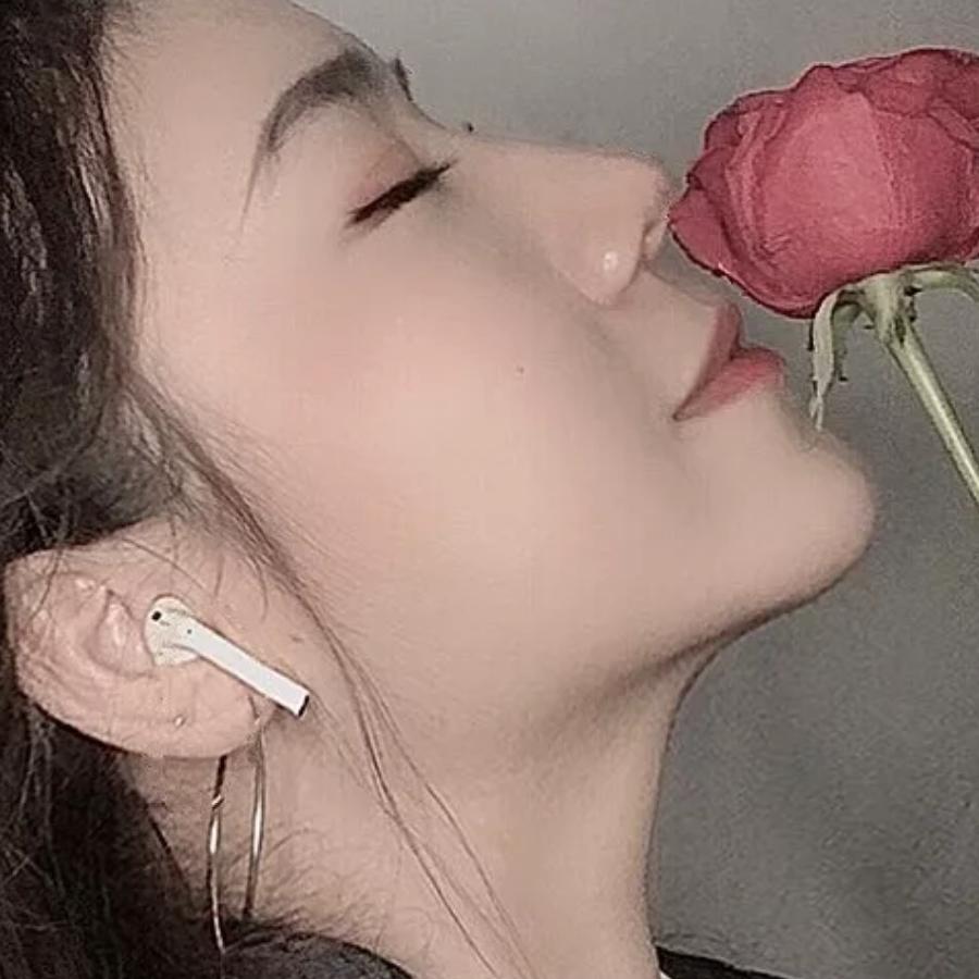 紫玫瑰（忽连赞）