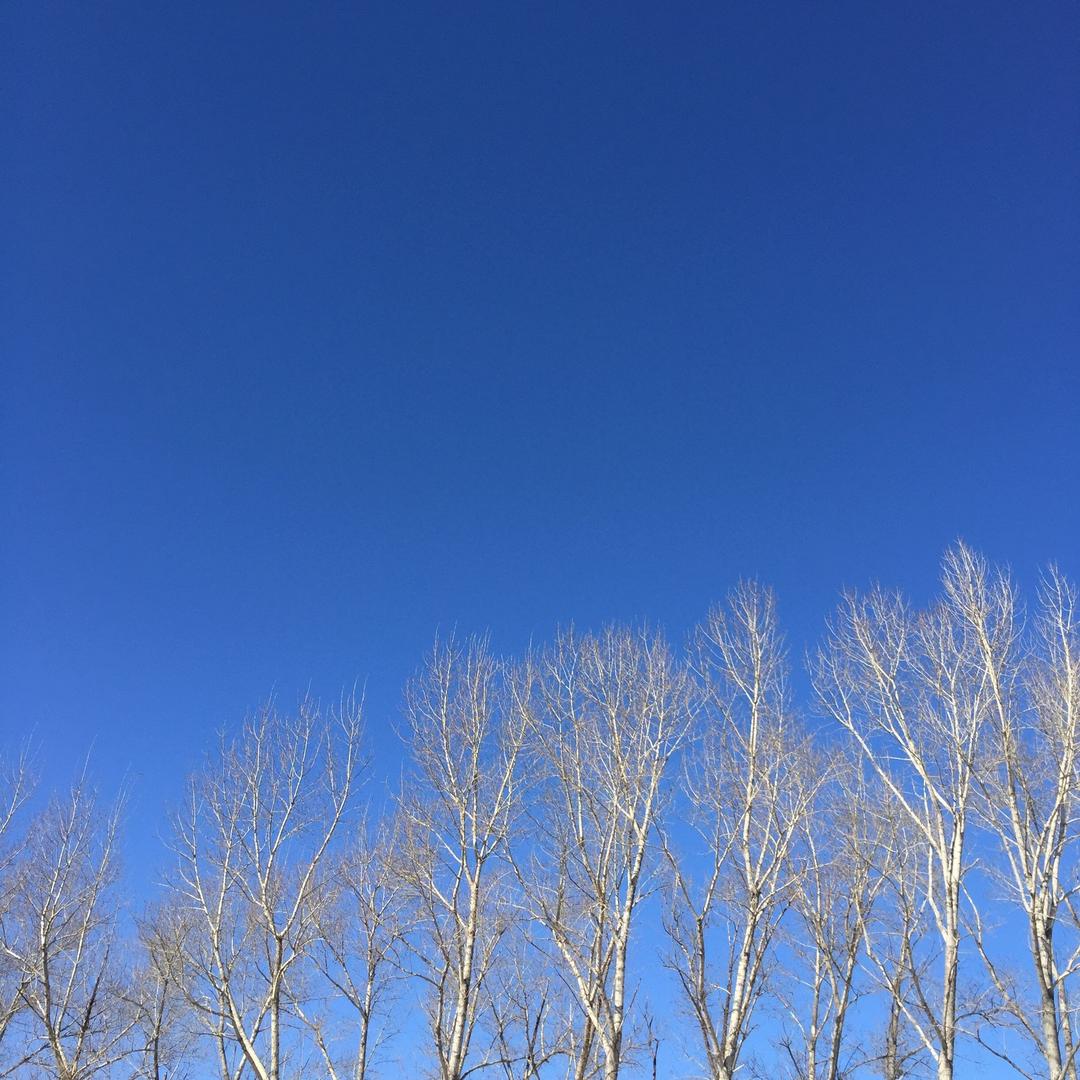 @天赐^O^