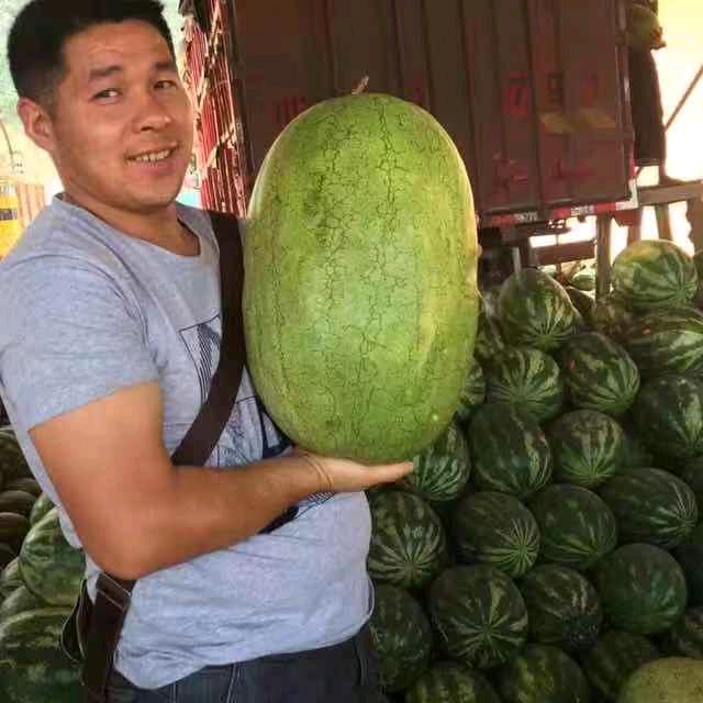 水果王子