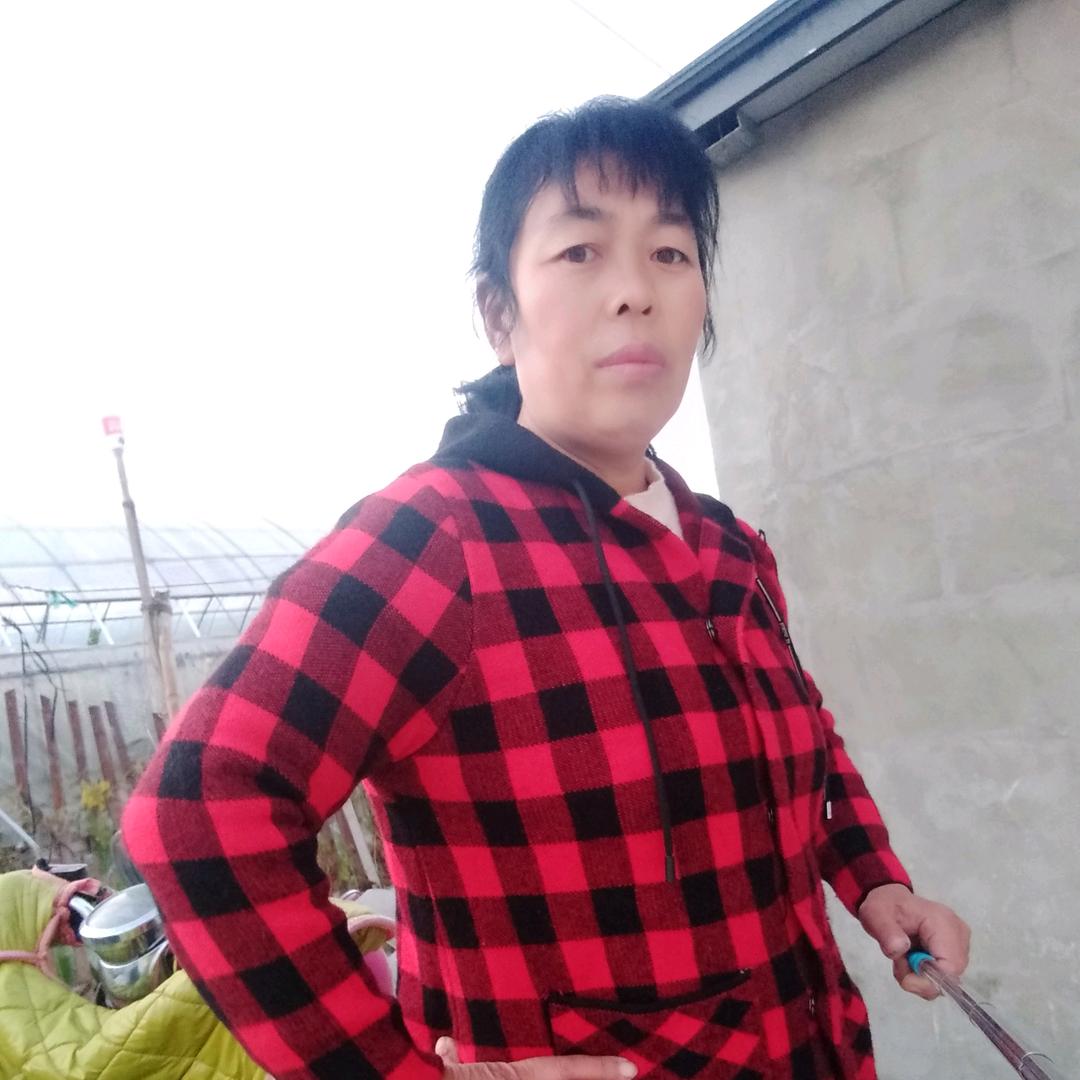 胡家二姐河南商丘