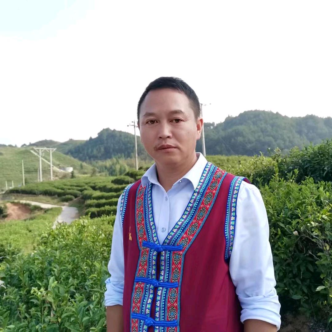 亮剑（蓝新华）