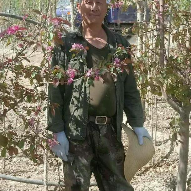 西北游狼