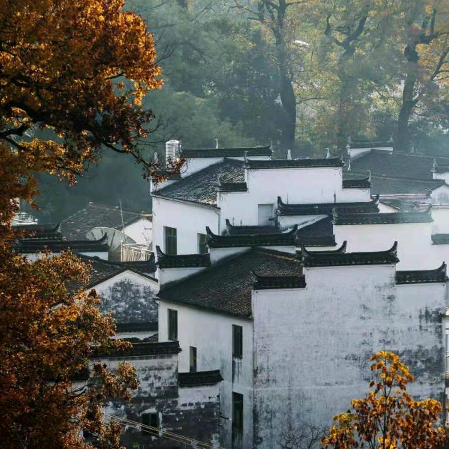 皖南张大姐