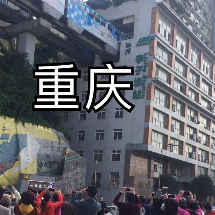 重庆小李