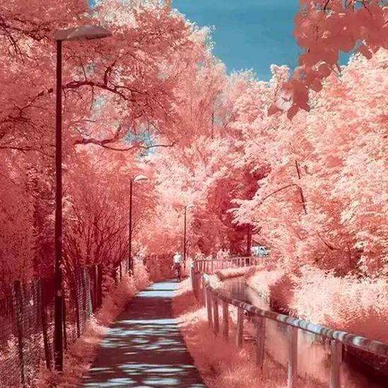 沐暖暖🍁
