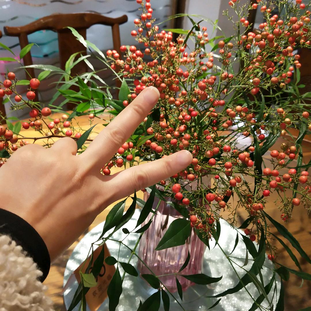 看不懂你的人是我