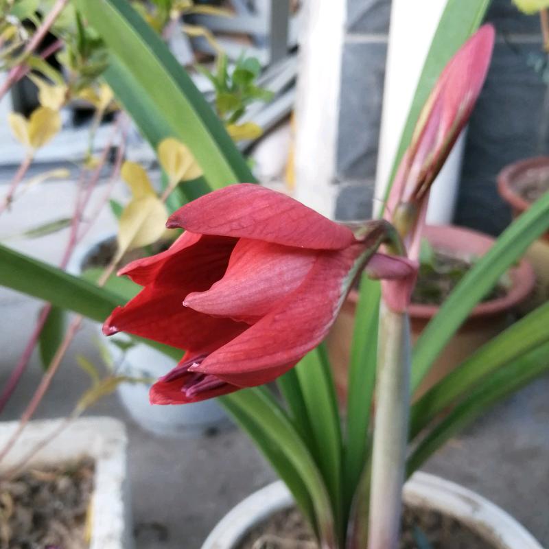 山东容易自动化有限公司